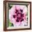 Poppy Flower II-Joseph Eta-Framed Giclee Print