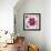 Poppy Flower II-Joseph Eta-Framed Giclee Print displayed on a wall