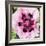 Poppy Flower II-Joseph Eta-Framed Giclee Print