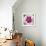 Poppy Flower II-Joseph Eta-Framed Giclee Print displayed on a wall