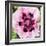 Poppy Flower II-Joseph Eta-Framed Giclee Print