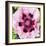 Poppy Flower II-Joseph Eta-Framed Giclee Print