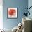 Poppy Flower II-Patricia Pinto-Framed Premium Giclee Print displayed on a wall