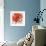 Poppy Flower II-Patricia Pinto-Framed Premium Giclee Print displayed on a wall