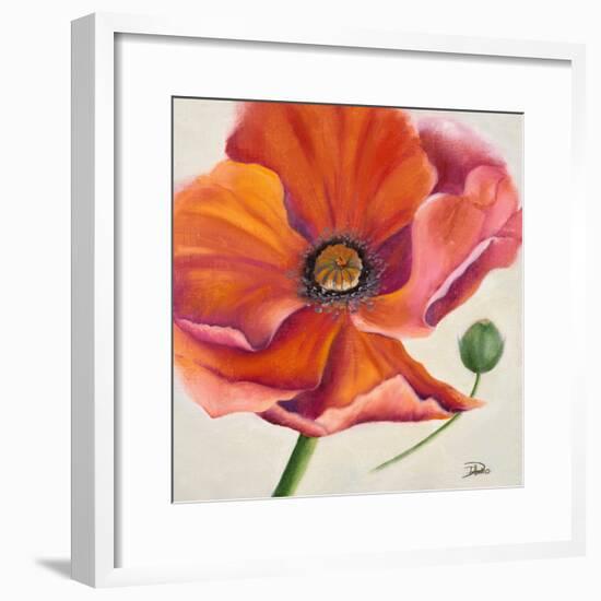 Poppy Flower II-Patricia Pinto-Framed Premium Giclee Print