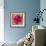 Poppy Flower III-Joseph Eta-Framed Giclee Print displayed on a wall