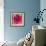 Poppy Flower III-Joseph Eta-Framed Giclee Print displayed on a wall