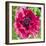 Poppy Flower III-Joseph Eta-Framed Giclee Print