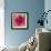 Poppy Flower III-Joseph Eta-Framed Giclee Print displayed on a wall