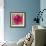 Poppy Flower III-Joseph Eta-Framed Giclee Print displayed on a wall