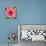 Poppy Flower IV-Joseph Eta-Giclee Print displayed on a wall