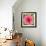 Poppy Flower IV-Joseph Eta-Framed Giclee Print displayed on a wall