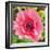 Poppy Flower IV-Joseph Eta-Framed Giclee Print