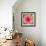 Poppy Flower IV-Joseph Eta-Framed Giclee Print displayed on a wall