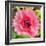 Poppy Flower IV-Joseph Eta-Framed Giclee Print