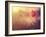 Poppy Flower-Alexey Rumyantsev-Framed Photographic Print