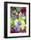 Poppy-Flowered Anemone, Usa-Lisa S Engelbrecht-Framed Photographic Print