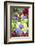 Poppy-Flowered Anemone, Usa-Lisa S Engelbrecht-Framed Photographic Print