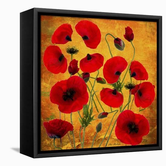 Poppy Flowers 2-Ata Alishahi-Framed Premier Image Canvas