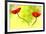 Poppy Friends-Heidi Westum-Framed Photographic Print