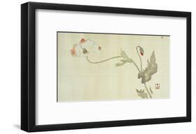 Poppy from Primrose, Mount Fuji, Bamboo and Toy Bird, Kanzan and Jittoku, Cuckoo under the Moon,…-Sakai Hoitsu-Framed Giclee Print