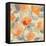 Poppy Garden II-Albena Hristova-Framed Stretched Canvas