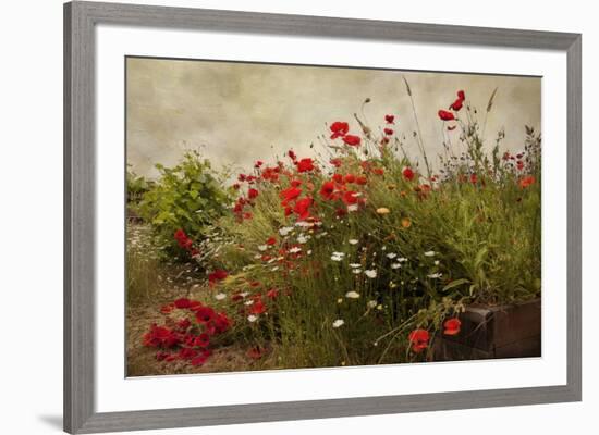 Poppy Garden-David Winston-Framed Art Print