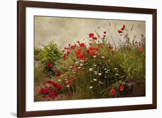 Poppy Garden-David Winston-Framed Art Print