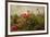 Poppy Garden-David Winston-Framed Art Print