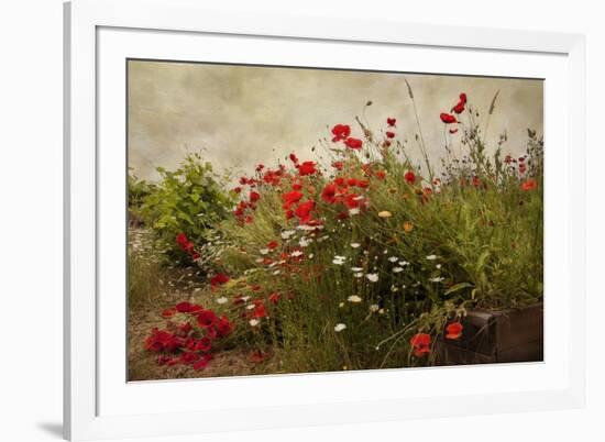 Poppy Garden-David Winston-Framed Art Print