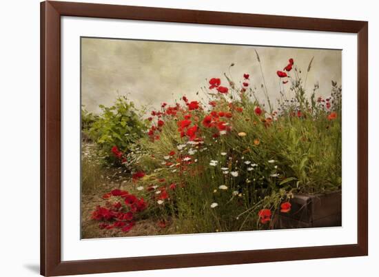 Poppy Garden-David Winston-Framed Art Print