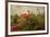 Poppy Garden-David Winston-Framed Art Print