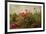 Poppy Garden-David Winston-Framed Art Print