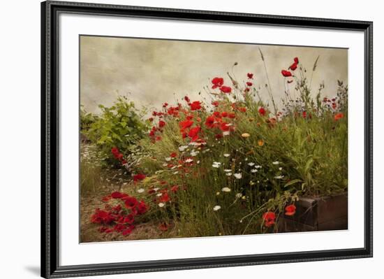 Poppy Garden-David Winston-Framed Art Print