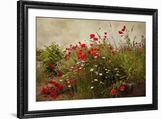 Poppy Garden-David Winston-Framed Art Print