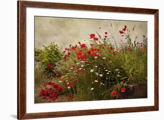 Poppy Garden-David Winston-Framed Art Print