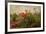 Poppy Garden-David Winston-Framed Art Print