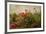 Poppy Garden-David Winston-Framed Art Print