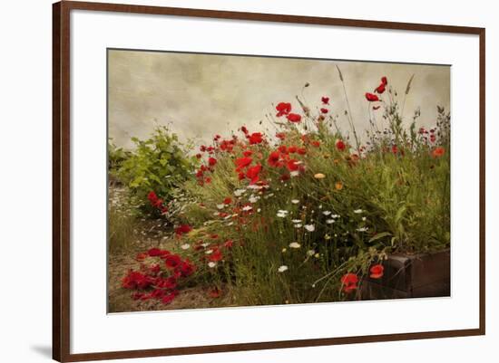 Poppy Garden-David Winston-Framed Art Print