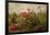 Poppy Garden-David Winston-Framed Art Print