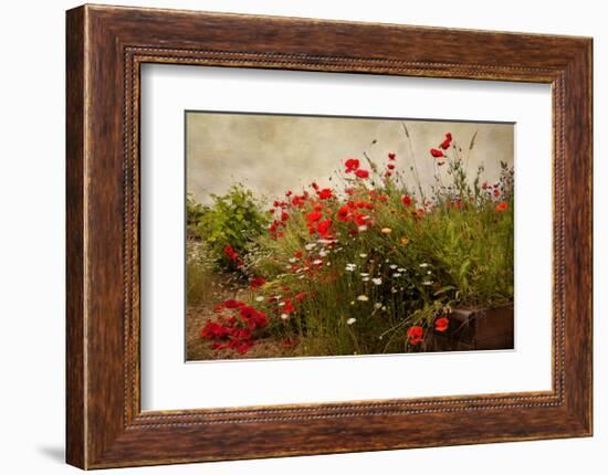 Poppy Garden-David Winston-Framed Giclee Print