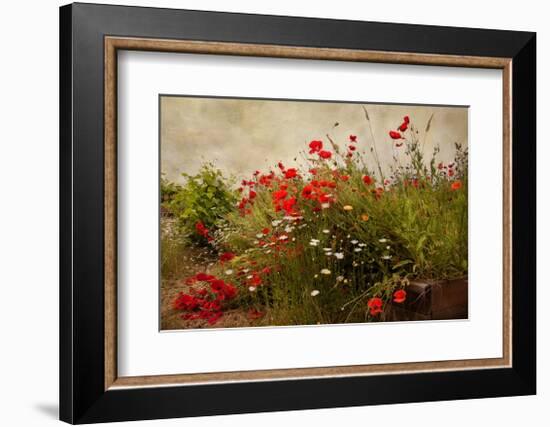 Poppy Garden-David Winston-Framed Giclee Print