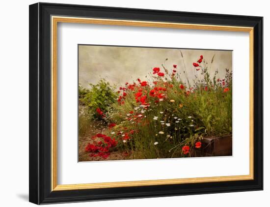 Poppy Garden-David Winston-Framed Giclee Print