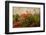 Poppy Garden-David Winston-Framed Giclee Print