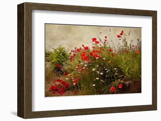 Poppy Garden-David Winston-Framed Giclee Print