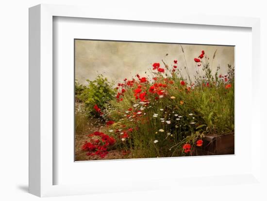 Poppy Garden-David Winston-Framed Giclee Print