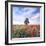 Poppy Garden-Ata Alishahi-Framed Giclee Print