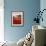 Poppy Harbor-Marino-Framed Art Print displayed on a wall