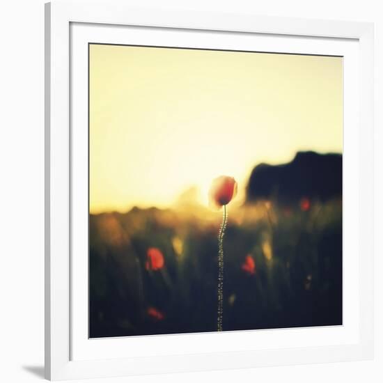 Poppy Haze-David Keochkerian-Framed Art Print