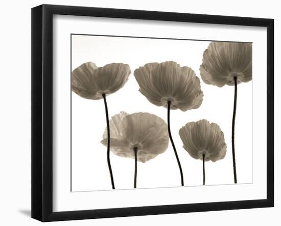 Poppy Heights-Assaf Frank-Framed Giclee Print